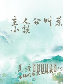主人公叫叶飞的小说