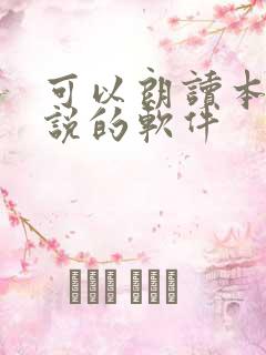 可以朗读本地小说的软件