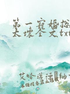 第一宠婚总裁别太坏全文txt