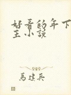 好看的年下双男主小说