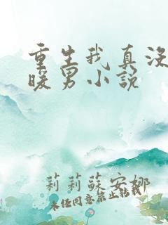 重生我真没想当暖男小说