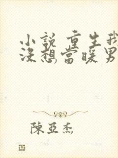 小说 重生我真没想当暖男