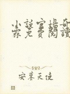 小说官场奇才李霖免费阅读