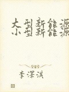 大型新能源车和小型新能源车的区别