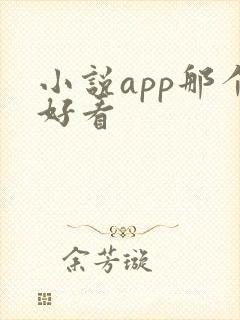 小说app那个好看