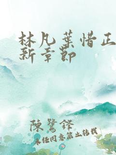 林凡叶惜正版最新章节