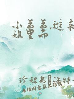 小弟弟,进来姐姐里面