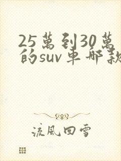 25万到30万的suv车哪款好