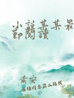 小说某某最新章节阅读