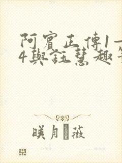 阿宾正传1—74与钰慧趣笔阁