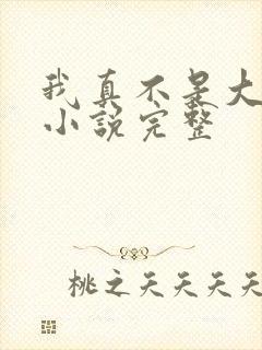 我真不是大佬 小说完整 我真不是大佬 小说完整
