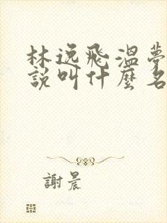 林逸飞温梦琪小说叫什么名字