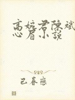 高婉君陈斌和赵心眉小说