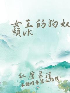 女王的狗奴的视频vk