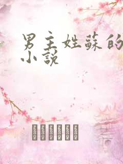 男主姓苏的现代小说