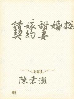 错嫁甜婚总裁的契约妻