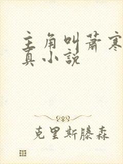 主角叫萧寒的修真小说
