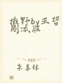 撒野by巫哲无删减版 撒野by巫哲无删减版