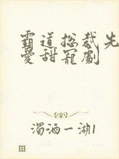 霸道总裁先婚后爱甜宠剧