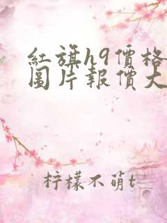 红旗h9价格及图片报价大全