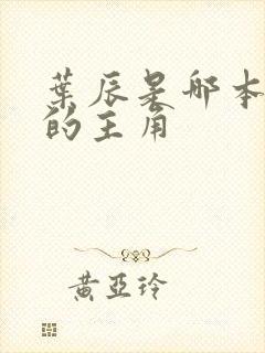 叶辰是哪本小说的主角