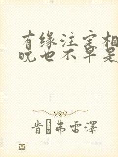 有缘注定相遇不晚也不早是什么歌