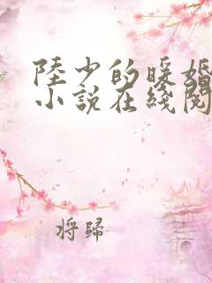 陆少的暖婚新妻小说在线阅读