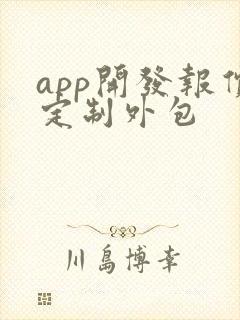 app开发报价定制外包