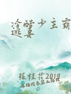 冷酷少主霸宠小逃妻