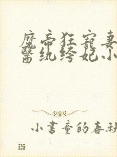 魔帝狂宠妻:神医纨绔妃小说
