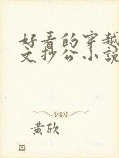 好看的穿越古代文抄公小说