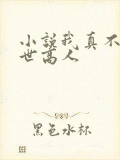 小说我真不是隐世高人