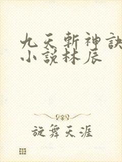 九天斩神诀免费小说林辰