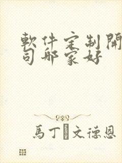 软件定制开发公司哪家好