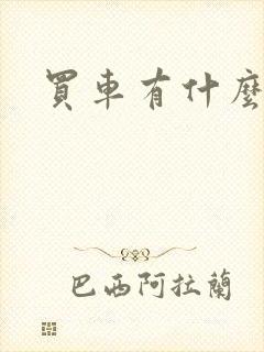 买车有什么网