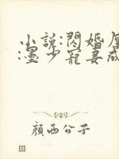 小说:闪婚厚爱:墨少宠妻成瘾