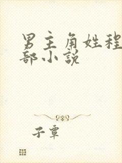男主角姓程的全部小说