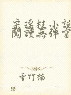 宋瑶枝小说免费阅读无弹窗最新章节