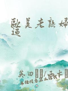 欧美老熟妇逼逼逼