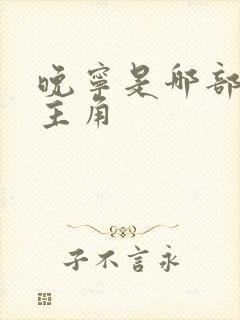 晚宁是哪部小说主角