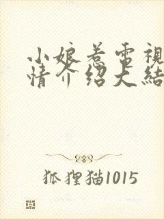 小娘惹电视剧剧情介绍大结局
