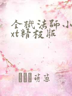 全职法师小说txt精校版