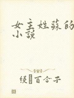 女主姓苏的古代小说