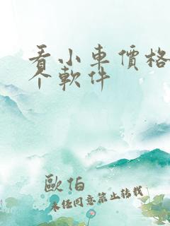 看小车价格用哪个软件