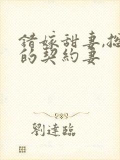 错嫁甜妻,总裁的契约妻