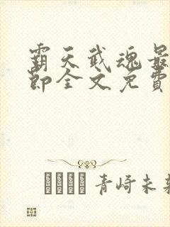 霸天武魂最新章节全文免费阅读无弹窗