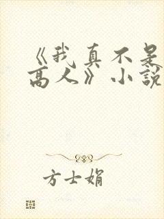 《我真不是隐世高人》小说