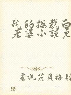 我的总裁白富美老婆小说免费阅读