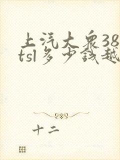上汽大众380tsl多少钱越野