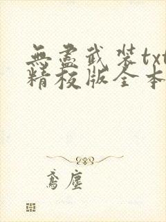 无尽武装txt精校版全本